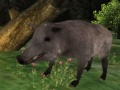 Jeu Chasse au sanglier en ligne
