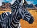 Jeu Chasseur de zèbres en ligne