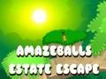 Jeu Évasion Épatante du Domaine en ligne