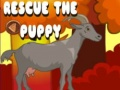 Jeu Sauvez le chiot en ligne