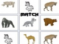 Jeu Match en ligne