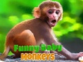Jeu Bébé singe drôle en ligne