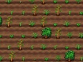 Jeu Faber de thé en ligne
