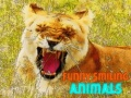 Jeu Animaux Drôles et Souris en ligne