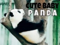 Jeu Joli bébé panda en ligne