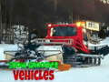 Jeu Véhicules de Piste Neige en ligne