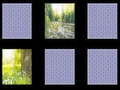 Jeu Mémoire de la Nature en ligne