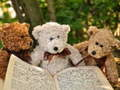 Jeu Casse-tête Trois Peluches Amusantes en ligne