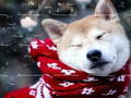 Jeu Puzzle des Animaux d'Hiver en ligne