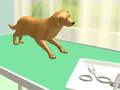 Jeu Soins des pattes en ligne