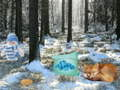 Jeu Aventure en pleine forêt dans un pays des merveilles d'hiver en ligne