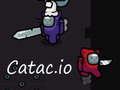 Jeu Catac.io en ligne