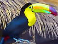 Jeu Casse-tête Oiseau Toucan en ligne