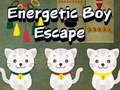 Jeu Évasion du garçon énergique en ligne