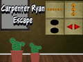 Jeu Évasion de Ryan le Charpentier en ligne