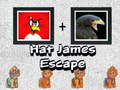 Jeu Évasion de James avec un Chapeau en ligne