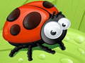 Jeu Glissade Coccinelle en ligne