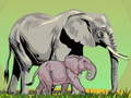 Jeu Animaux sauvages et leurs bébés en ligne