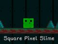 Jeu Slime Pixel Carré en ligne