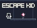 Jeu Évasion du Kid en ligne