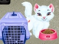 Jeu Baby Taylor: Soin des Animaux en ligne