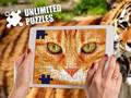 Jeu Casse-têtes illimités en ligne