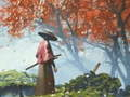 Jeu Réflexion de Samouraï en ligne