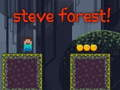 Jeu Forêt de Steve en ligne