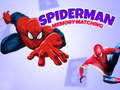 Jeu Jeu de mémoire Spiderman en ligne