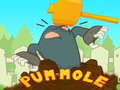 Jeu Pum-Mole en ligne