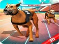 Jeu Course de chiens fous en ligne