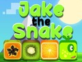 Jeu Jake le Serpent en ligne