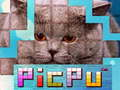 Jeu PicPu Chat en ligne