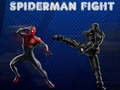 Jeu Combat de Spider-Man en ligne