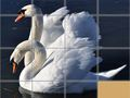 Jeu Puzzle Glissant d'Animaux en ligne