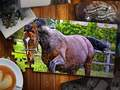 Jeu Édition Puzzle Jigsaw Chevaux en ligne