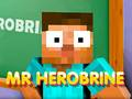 Jeu Monsieur Herobrine en ligne