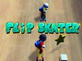 Jeu Skater Flip en ligne