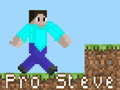 Jeu Pro Steve en ligne