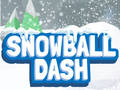 Jeu Course de Boule de Neige en ligne