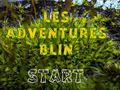 Jeu Les Aventures de Blin en ligne