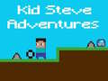 Jeu Les Aventures de Kid Steve en ligne