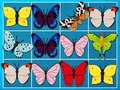 Jeu Roi du Mahjong en ligne