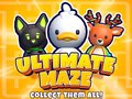 Jeu Labyrinthe Ultime ! Collecte-les tous ! en ligne