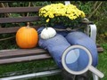 Jeu Jardin d'automne : Trouvez 100 papillons en ligne