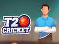 Jeu T20 Cricket en ligne