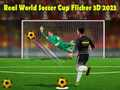Jeu Coupe du Monde de Soccer Réelle Flicker 3D 2023 en ligne