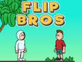 Jeu Flip Frères en ligne