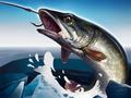 Jeu Pêche sur glace 3D en ligne