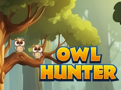 Jeu Chasseur de hiboux en ligne